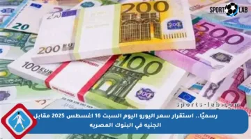 رسميًا.. استقرار سعر اليورو اليوم السبت 16 أغسطس 2025 مقابل الجنيه في البنوك المصرية